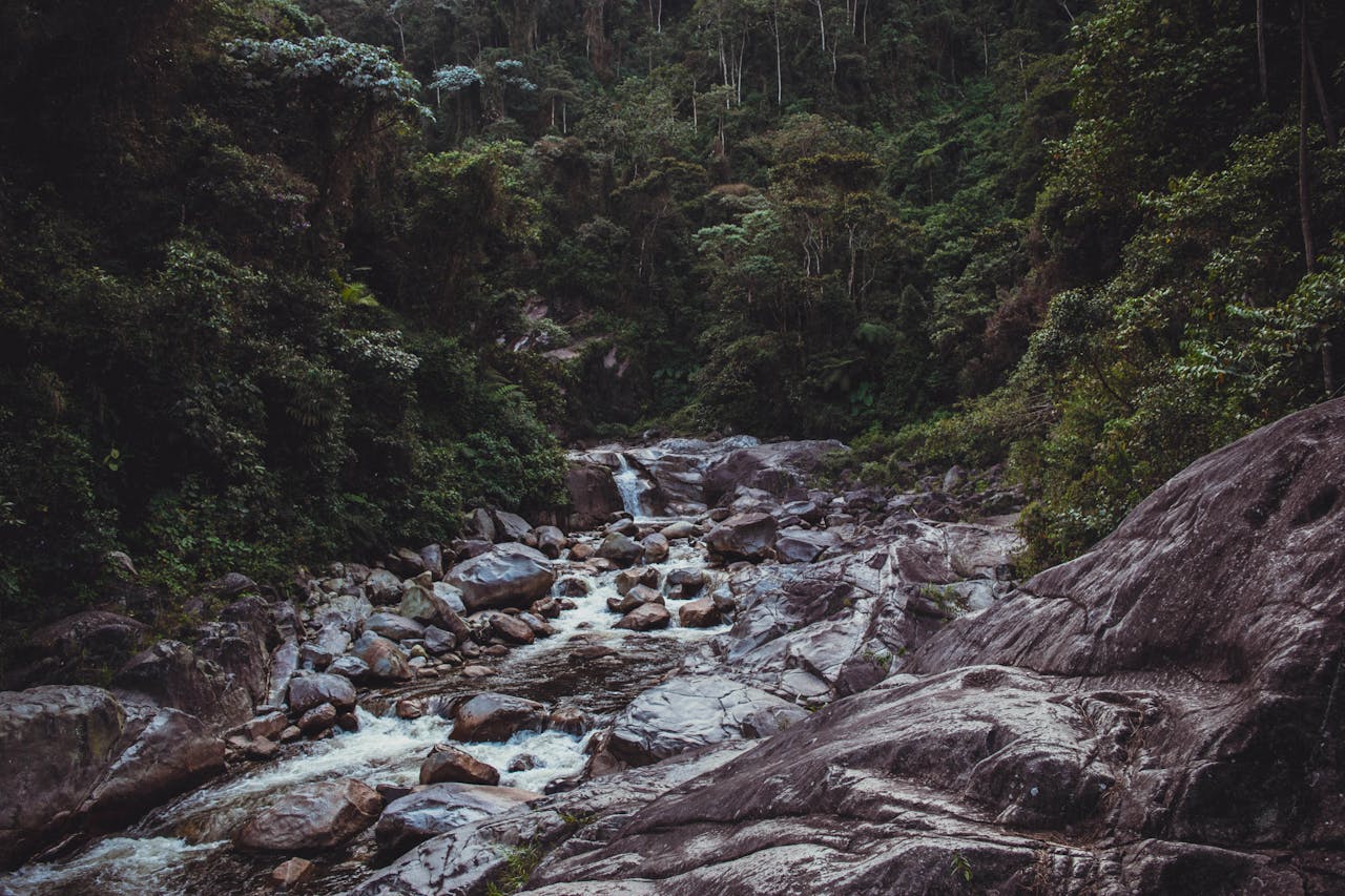 Rocky river cutting through rainforest — navigating difficulty and finding a way through