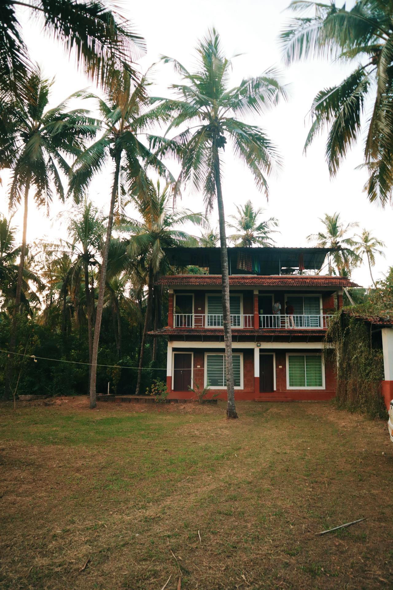 Tropical house with palm trees — holiday accommodation in a relaxed setting